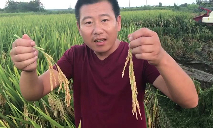 農(nóng)達(dá)黃金搭檔“控瘋+優(yōu)奶特”啟動(dòng)會(huì)順利召開(kāi)(圖5)