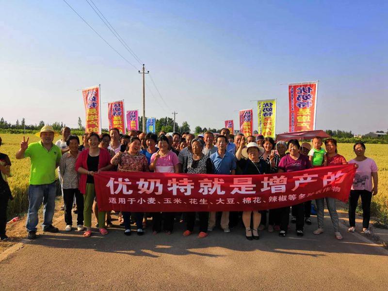 優(yōu)奶特現場測產觀摩會(圖4)