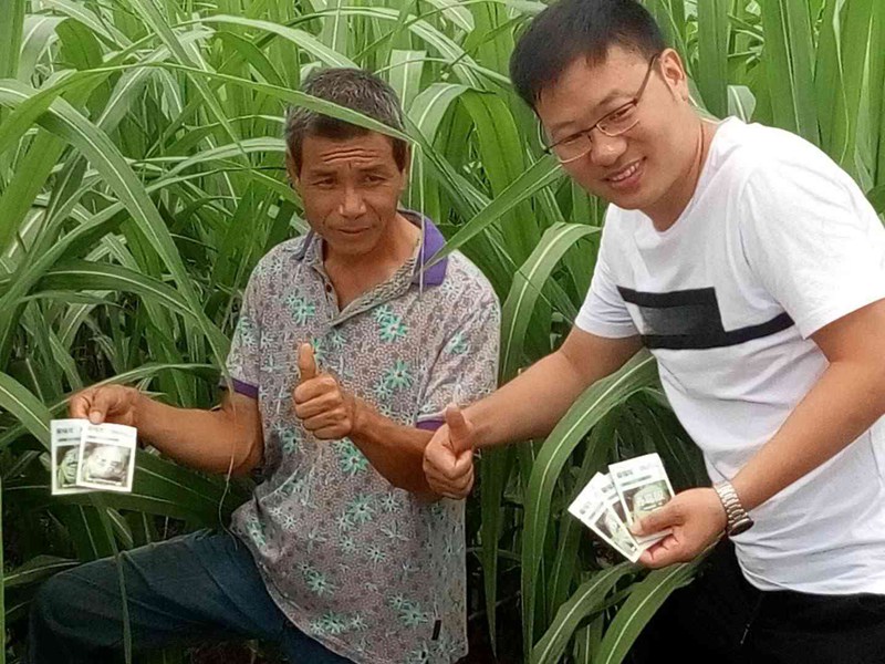 翁源地天泰農(nóng)資“農(nóng)達(dá)20%赤霉酸可溶性粉劑”上市會(圖3)