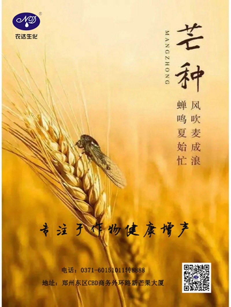 芒種與農(nóng)事(圖1) 芒種與農(nóng)事(圖1)