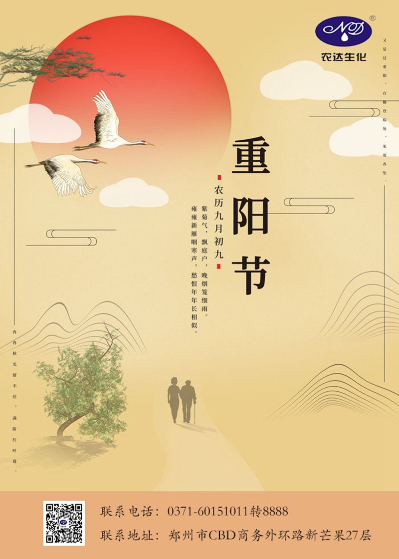 秋風(fēng)徐徐，重陽九九(圖1)