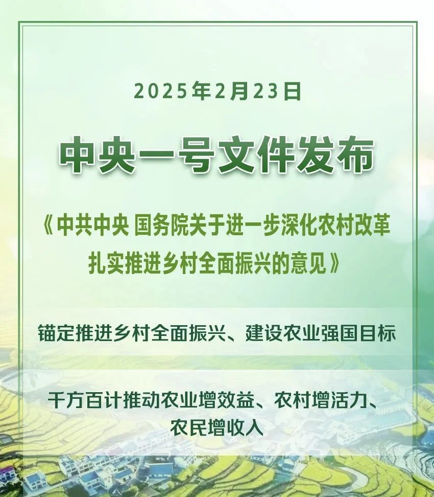 2025年中央一號(hào)文件(全文)(圖1) 2025年中央一號(hào)文件(全文)(圖1)