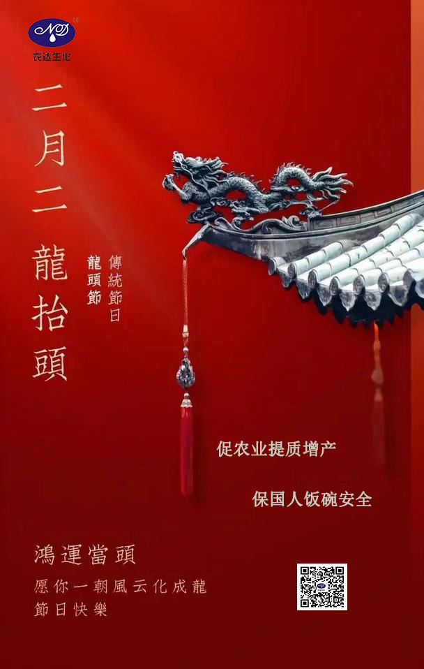 二月二，鴻運(yùn)當(dāng)頭(圖1)
