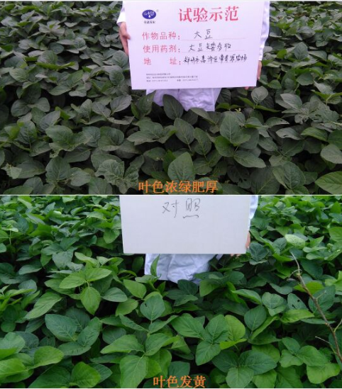 換個(gè)思路賣農(nóng)資，效果也不差！(圖1)