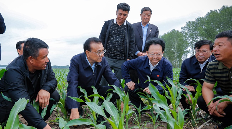 重磅！農(nóng)資上漲不要怕，補貼來了！(圖1)