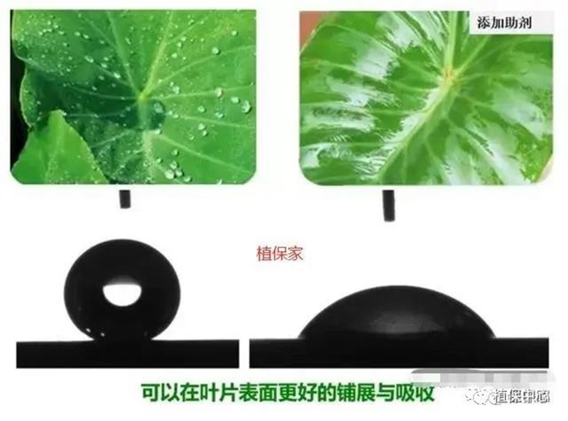 農(nóng)藥成分和含量一模一樣，為啥效果差別那么大？(圖2)