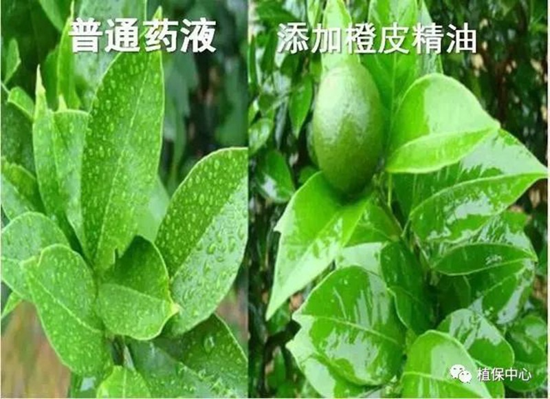 農(nóng)藥成分和含量一模一樣,為啥效果差別那么大?(圖3) 農(nóng)藥成分和含量一模一樣,為啥效果差別那么大?(圖3)